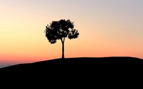 ആലോചനാമൃതങ്ങള്‍