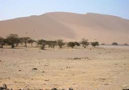 പ്രതിരോധപ്രവര്‍ത്തനങ്ങള്‍