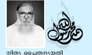 നിത്യ ചൈതന്യയതി