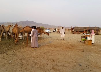 പ്രബോധന പ്രവര്‍ത്തനങ്ങള്‍