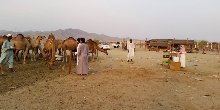 പ്രബോധന പ്രവര്ത്തനങ്ങള്